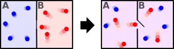 Entropia