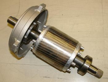 Rotor gaiola de esquilo
